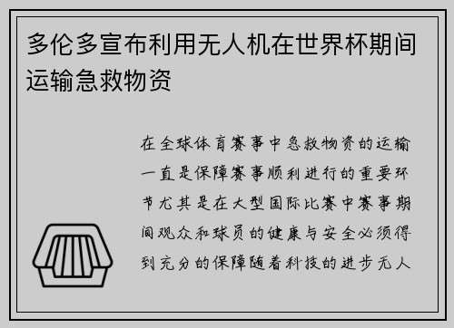 多伦多宣布利用无人机在世界杯期间运输急救物资